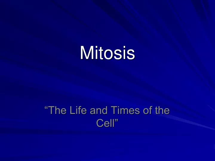 mitosis