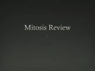 Mitosis Review