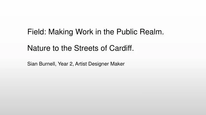 field making work in the public realm nature to the streets of cardiff