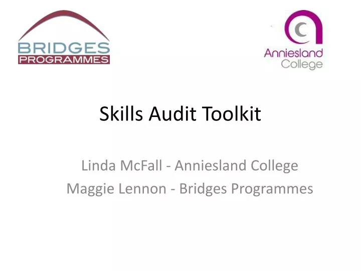 skills audit toolkit
