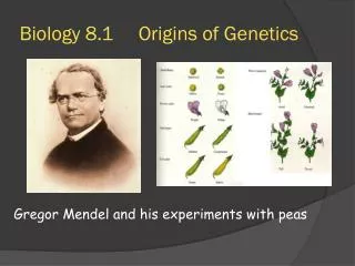 Biology 8.1 Origins of Genetics