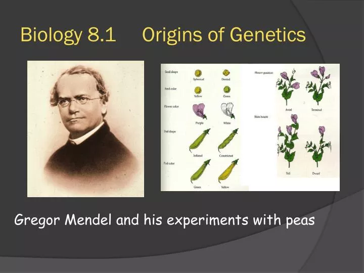 biology 8 1 origins of genetics