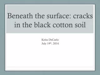 Beneath the surface: cracks in the black cotton soil