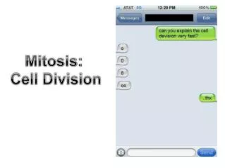 Mitosis: Cell Division