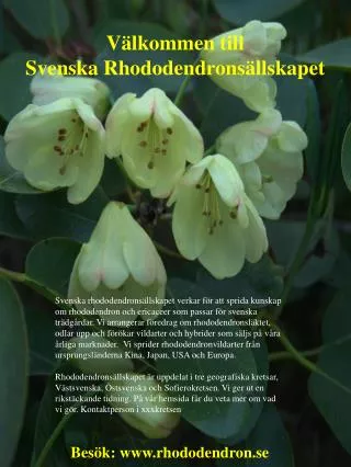 Välkommen till Svenska Rhododendronsällskapet
