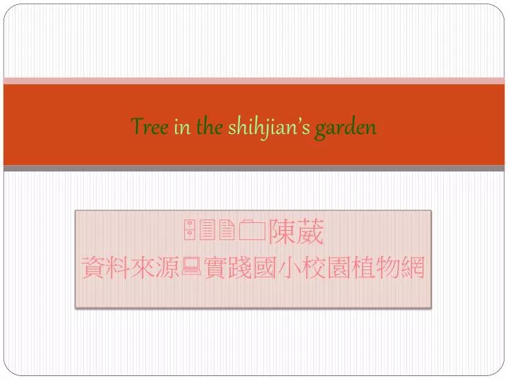 tree in the shihjian s garden