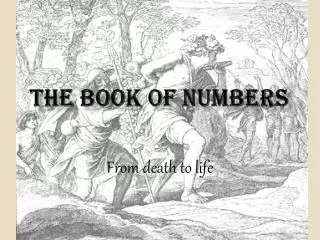 The book of numbers