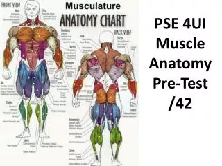PSE 4UI Muscle Anatomy Pre-Test /42