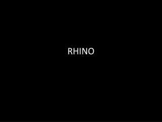 RHINO