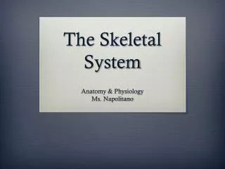 The Skeletal System