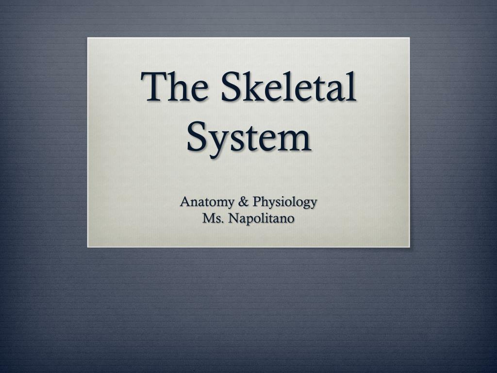 PPT - The Skeletal System PowerPoint Presentation, free download - ID ...