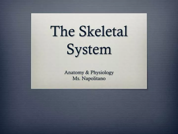 the skeletal system