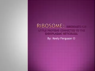 Ribosome: Ribosome's are little proteins connected to the endoplasmic Reticulum.