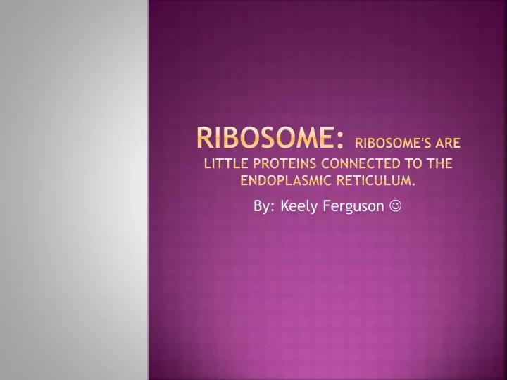 ribosome ribosome s are little proteins connected to the endoplasmic reticulum