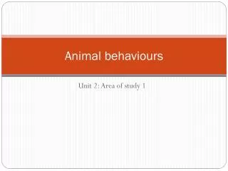 Animal behaviours