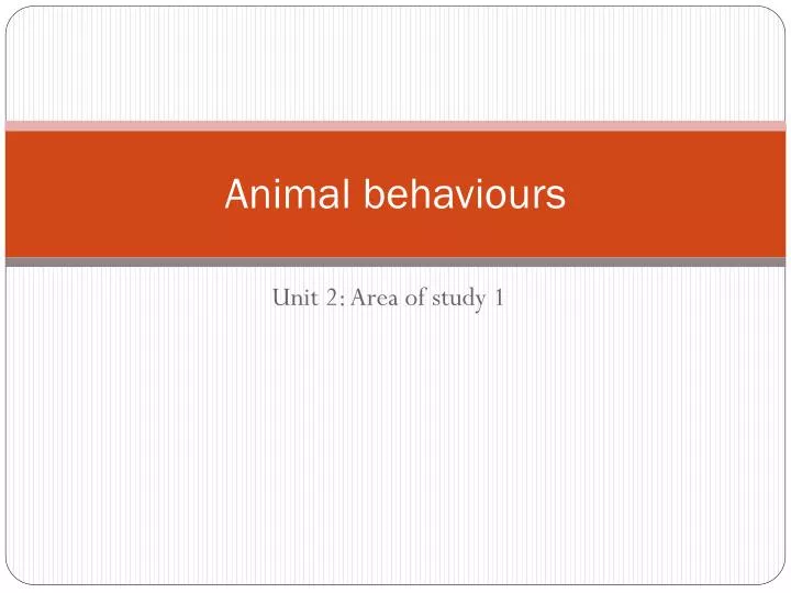 animal behaviours