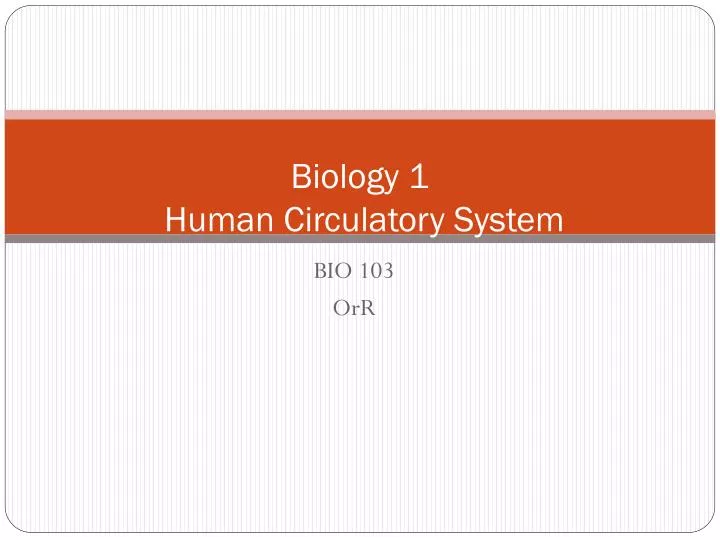 biology 1 human circulatory system