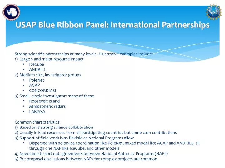 usap blue ribbon panel international partnerships
