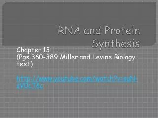 RNA and Protein Synthesis