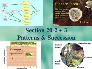 Section 20-2 + 3 Patterns &amp; Succession