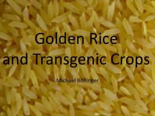Golden Rice and Transgenic Crops
