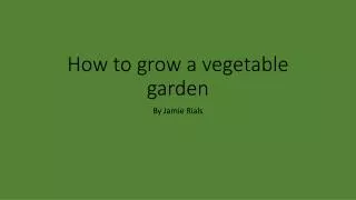 How to grow a vegetable garden
