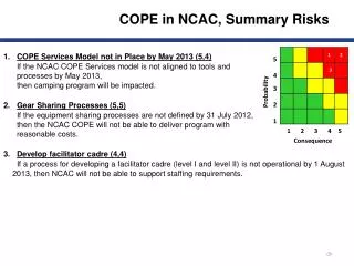 COPE Services Model not in Place by May 2013 (5,4)