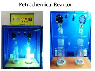 Petrochemical Reactor