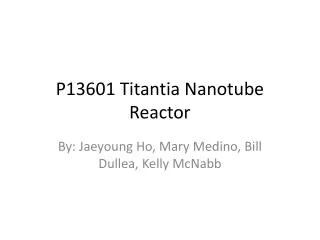 P13601 Titantia Nanotube Reactor