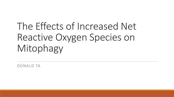 the effects of increased net reactive oxygen species on mitophagy