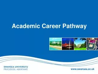 Academic Career Pathway