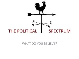THE POLITICAL			 SPECTRUM