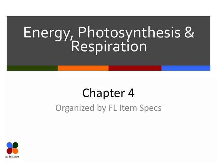 energy photosynthesis respiration