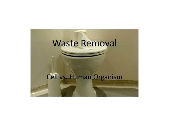 waste removal