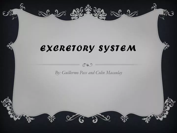 excretory system