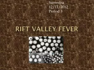 Rift Valley Fever