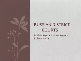 Russian District 		Courts