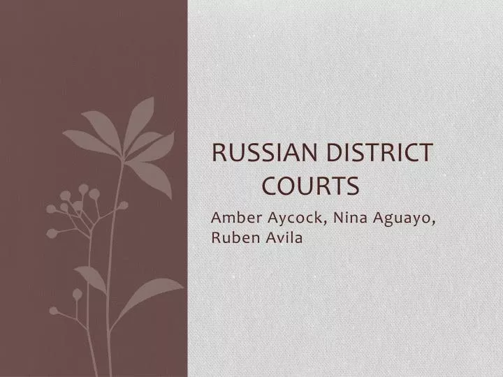 russian district courts