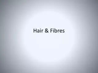 Hair &amp; Fibres