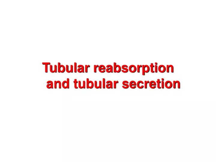 Ppt Tubular Reabsorption And Tubular Secretion Powerpoint Presentation Id