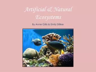 Artificial &amp; Natural Ecosystems
