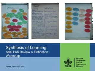 Synthesis of Learning AAS Hub Review &amp; Reflection Workshop