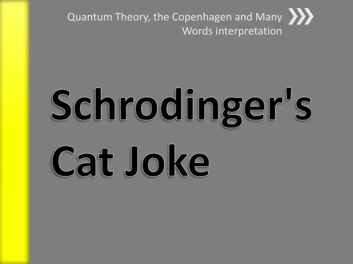 quantum theory the copenhagen and many words interpretation