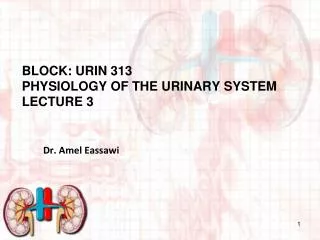 Block: URIN 313 Physiology of THE URINARY SYSTEM Lecture 3