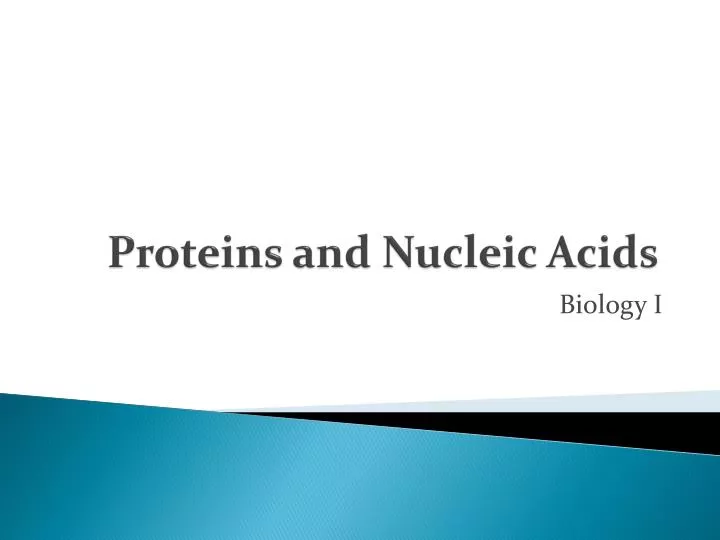 proteins and nucleic acids