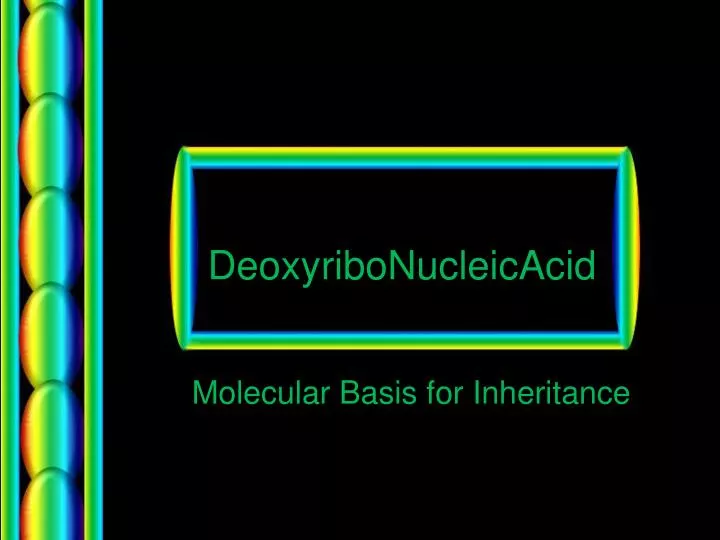 deoxyribonucleicacid