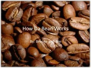 How D a Bean W orks