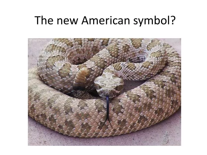 the new american symbol