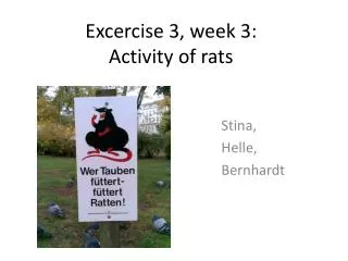 Excercise 3, week 3: Activity of rats