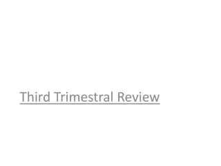 Third Trimestral Review